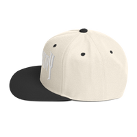 Overt Enemy "White Logo" Snapback Hat - Multi Colors